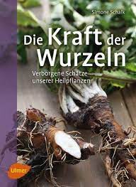 Die Kraft der Wurzeln: Verborgene Schätze unserer Heilpflanzen