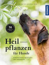 Heilpflanzen für Hunde