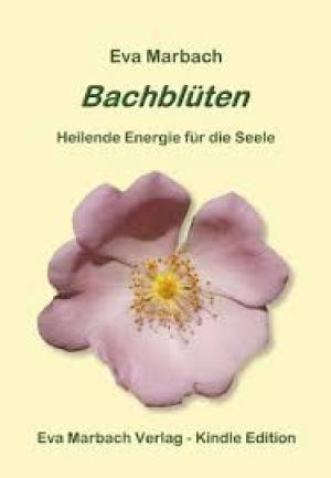 Bachblüten Praxisbuch
