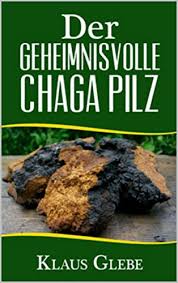 Der geheimnisvolle Chaga Pilz