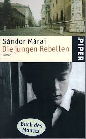 Die jungen Rebellen